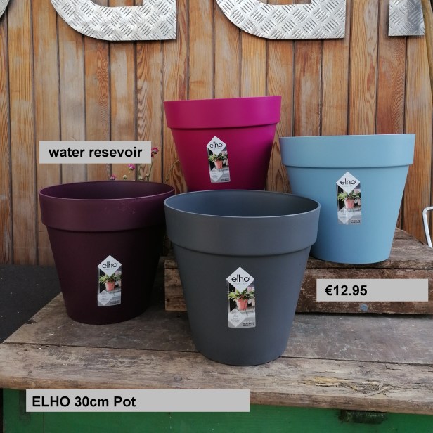 IMG_20200421_115342 (1)